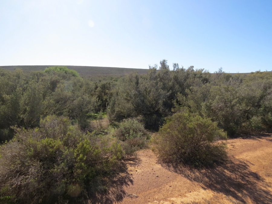 Commercial Property for Sale in Montagu Rural Western Cape